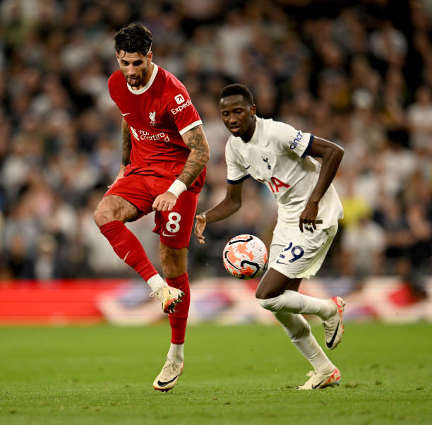 化的未来 化的未来