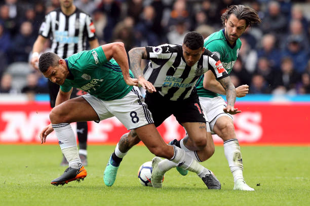 纳乔的转会 纳乔的转会